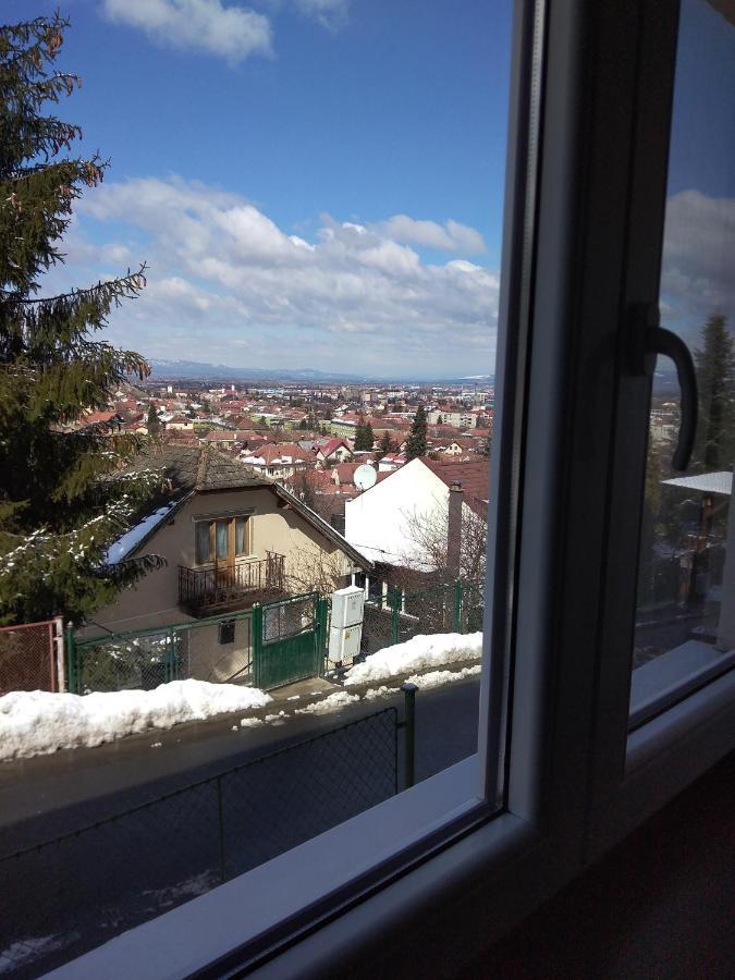 Flori'S Apartment Brasov Luaran gambar